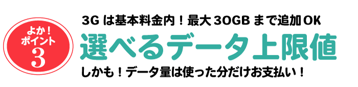 3Gは基本料金内！最大30Gまで追加OK。選べるデータ上限値しかも！データ量は使った分だけお支払い！