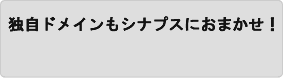 独自ドメインもあわせてお任せ！