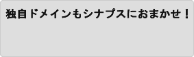 独自ドメインもあわせてお任せ！